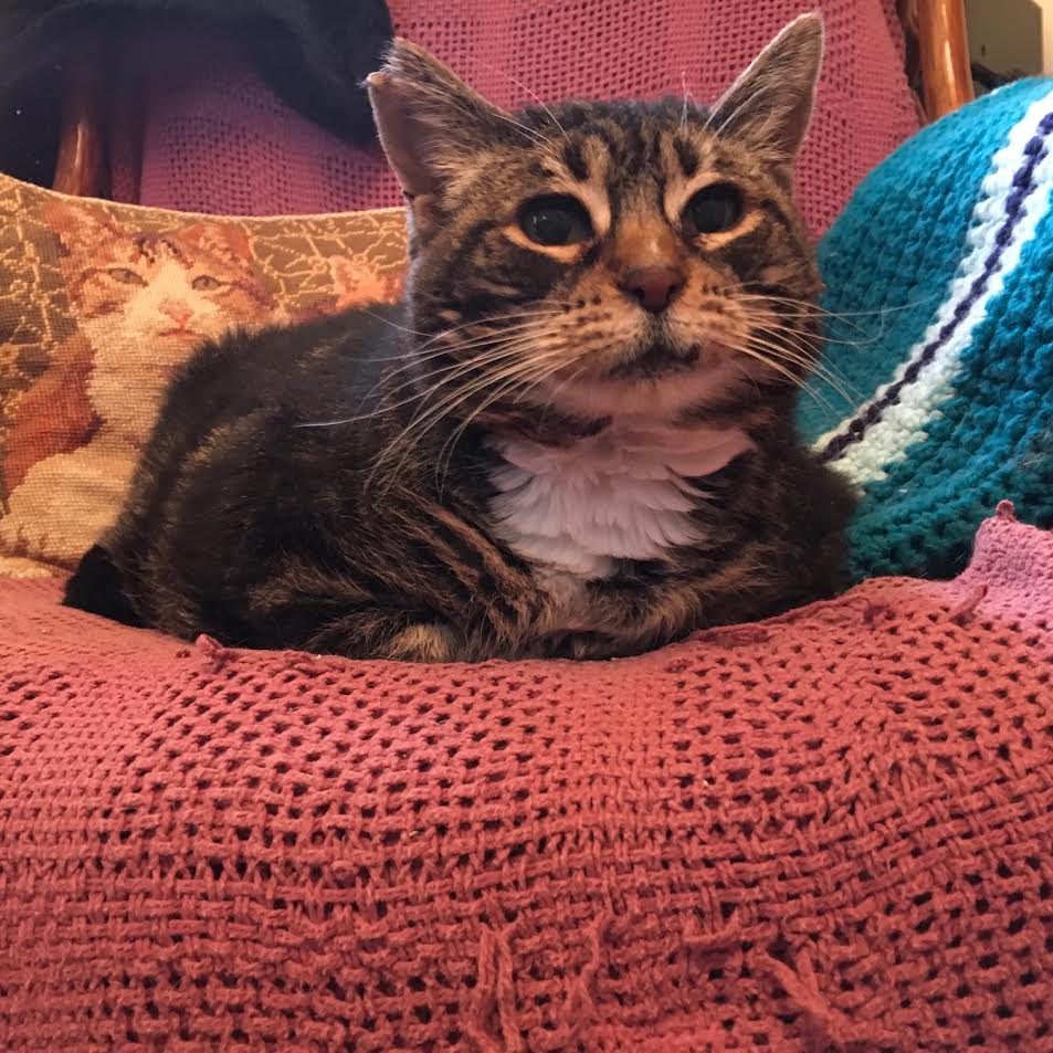 Fiona