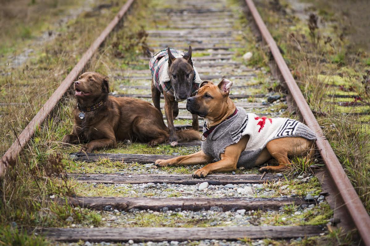 Muddy, Bru & Georgia Muddy, Bru & Georgia