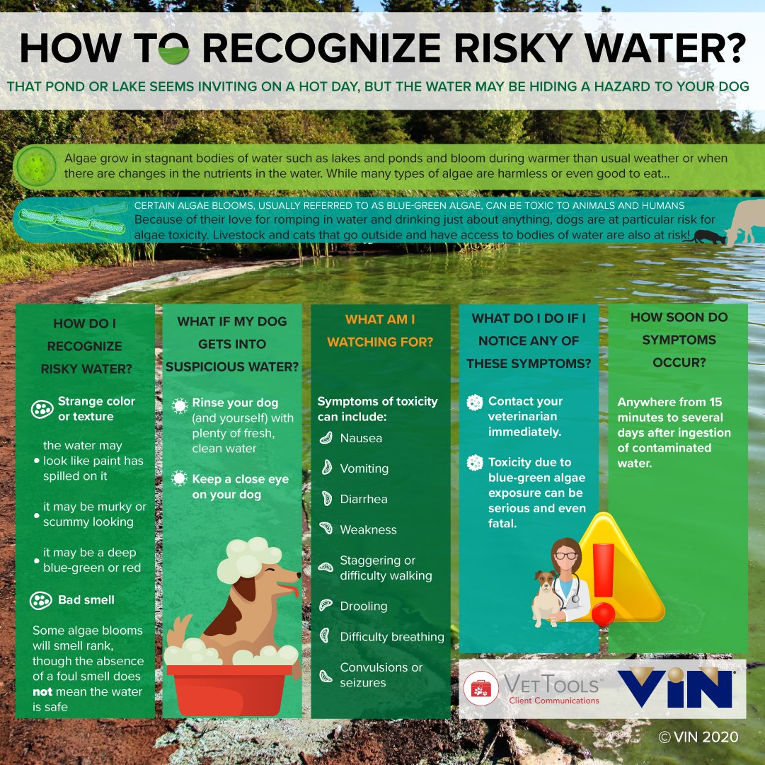 Recognize Risky Water